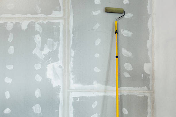 Trusted Collinsville, TX Dry wall and painting Experts